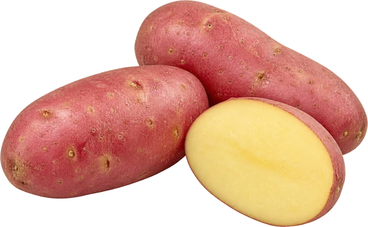 Illustrative image of Asterix potatoes, whole and halved